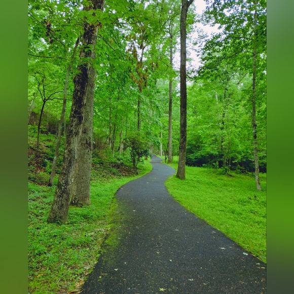 Hi, I'm Amida. - Picture 4 of 10